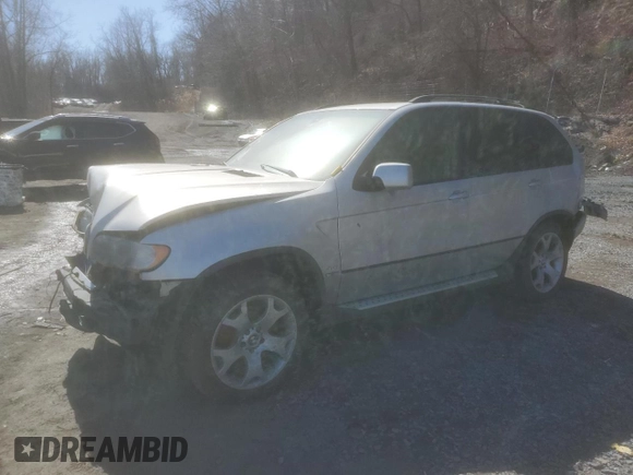 2001 BMW X5 4.4i with VIN WBAFB33581LH19977, listed as a Copart auction lot 48957175 with 0 mi miles and Salvage Title. Bid and sale history available at carsss.com. Image 1.