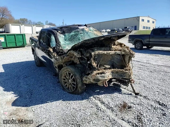 2020 GMC Sierra 1500 AT4 with VIN 1GTP9EEL9LZ359724, listed as a Copart auction lot 50170725 with 0 mi miles and Salvage Title. Bid and sale history available at carsss.com. Image 11.