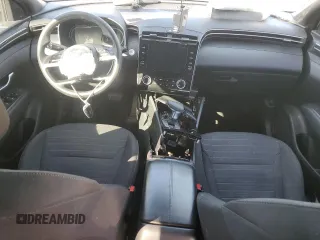 2023 Hyundai Santa Cruz SEL with VIN 5NTJBDAE2PH071957, listed as a Copart auction lot 48053295 with Not provided miles and Salvage title. Bid and sale history available at DreamBid. Image 8.