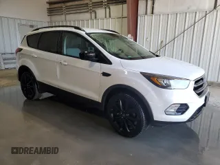 2019 Ford Escape SE with VIN 1FMCU0GD0KUA39530, listed as a Copart auction lot 49307355 with 103,396 mi miles and Clean Title. Bid and sale history available at carsss.com. Image 4.