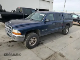 2002 Dodge Dakota SLT with VIN 1B7HG48N32S720700, listed as a Copart auction lot 80234494 with 207,035 mi miles and Salvage Title. Bid and sale history available at carsss.com. Image 1.