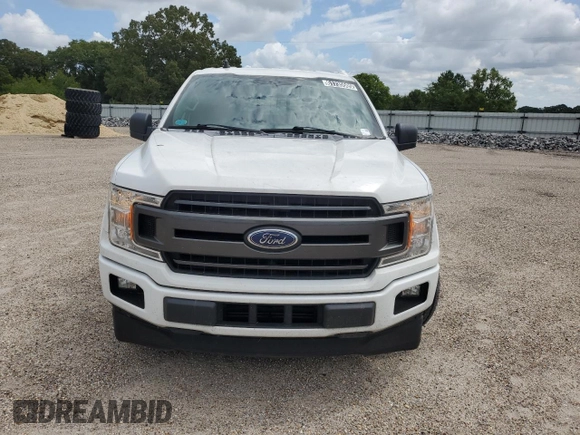 2019 Ford F-150 XL with VIN 1FTEW1CPXKFA75369, listed as a Copart auction lot 61735505 with 164,310 mi miles and Clean title. Bid and sale history available at DreamBid. Image 5.