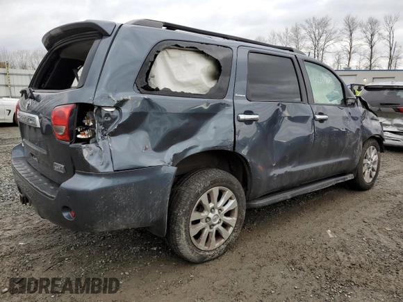 2010 Toyota Sequoia Platinum with VIN 5TDDY5G13AS024314, listed as a Copart auction lot 44349705 with 0 mi miles and Salvage Title. Bid and sale history available at carsss.com. Image 3.