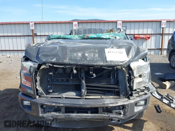 2016 Ford F-150 XLT with VIN 1FTEX1EP9GKD57799, listed as a IAAI auction lot 42432702 with 175,956 mi miles and . Bid and sale history available at DreamBid. Image 12.