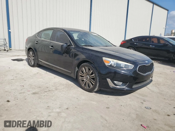 2014 Kia Cadenza Premium with VIN KNALN4D79E5120531, listed as a Copart auction lot 45104745 with Not Provided miles and Salvage Title. Bid and sale history available at DreamBid. Image 4.