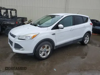 2014 Ford Escape SE with VIN 1FMCU9G96EUA46034, listed as a Copart auction lot 49678325 with 0 mi miles and Clean Title. Bid and sale history available at carsss.com. Image 1.