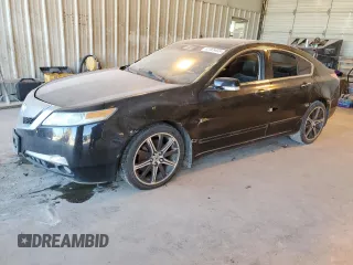 2009 Acura TL Tech with VIN 19UUA86529A004236, listed as a Copart auction lot 42265455 with 0 mi miles and Clean Title. Bid and sale history available at carsss.com. Image 1.