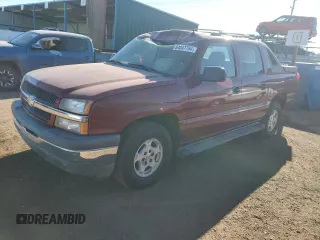 2005 Chevrolet Avalanche LS with VIN 3GNEC12Z95G282132, listed as a Copart auction lot 48307255 with 119,177 mi miles and Salvage Title. Bid and sale history available at carsss.com. Image 1.