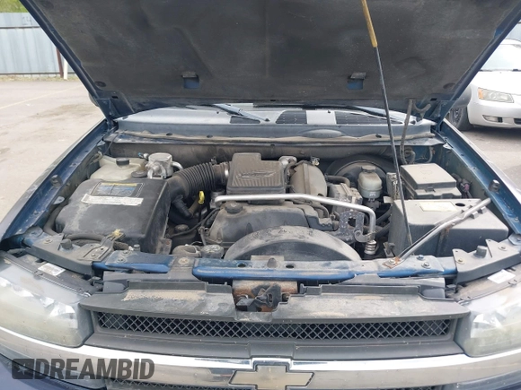 2004 Chevrolet TrailBlazer LS with VIN 1GNDT13S842316663, listed as a IAAI auction lot 42105256 with 146,385 mi miles. Bid and sale history available at carsss.com. Image 10.