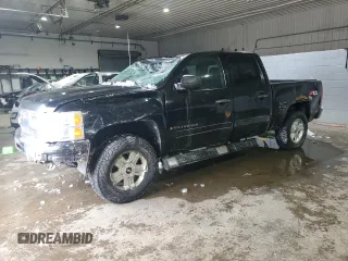 2009 Chevrolet Silverado 1500 LT with VIN 3GCEK23MX9G271568, listed as a Copart auction lot 50677475 with 184,903 mi miles and Non Repairable. Bid and sale history available at DreamBid. Image 1.