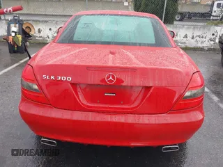 2009 Mercedes-Benz SLK-Class 3.0L with VIN WDBWK54F69F191027, listed as a IAAI auction lot 41809020 with 70,932 mi miles. Bid and sale history available at carsss.com. Image 16.