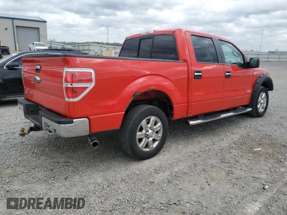 2013 Ford F-150 XL with VIN 1FTFW1CT9DKD58745, listed as a Copart auction lot 49869035 with 159,773 mi miles and Salvage Title. Bid and sale history available at carsss.com. Image 3.