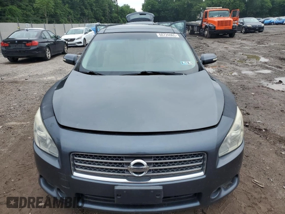 2010 Nissan Maxima SV with VIN 1N4AA5APXAC820912, listed as a Copart auction lot 60726965 with 119,093 mi miles and Salvage title. Bid and sale history available at DreamBid. Image 5.