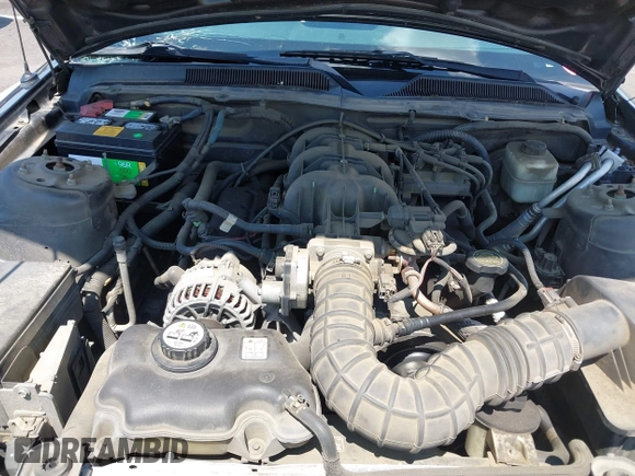 2008 Ford Mustang Deluxe with VIN 1ZVHT80N585164800, listed as a IAAI auction lot 42720565 with 189,711 mi miles and . Bid and sale history available at DreamBid. Image 10.