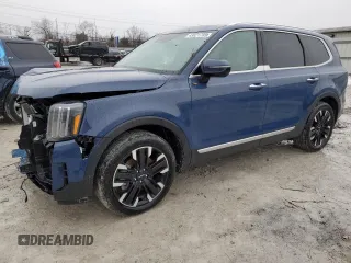 2024 Kia Telluride SX Prestige с VIN 5XYP5DGC9RG503637, выставлен на аукционе Copart как лот 43821705 с пробегом 4 353 миль миль и Списание • Salvage title. История ставок и продаж доступна на DreamBid. Изображение 1.