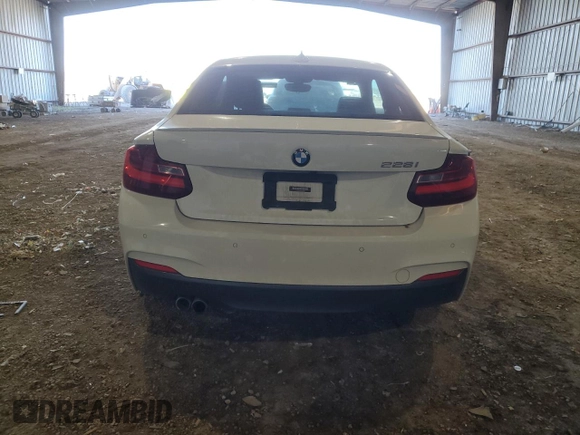 2016 BMW 2 Series 228i with VIN WBA1F9C58GV545002, listed as a Copart auction lot 42129794 with 110,846 mi miles. Bid and sale history available at carsss.com. Image 6.