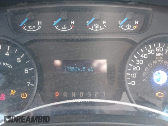 2013 Ford F-150 XL with VIN 1FTEX1CM8DFB10819, listed as a IAAI auction lot 41741447 with 175,524 mi miles. Bid and sale history available at carsss.com. Image 7.
