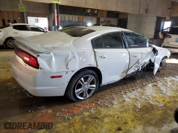 2014 Dodge Charger SXT Plus with VIN 2C3CDXJG1EH148428, listed as a Copart auction lot 41622695 with 0 mi miles and Salvage Title. Bid and sale history available at carsss.com. Image 3.