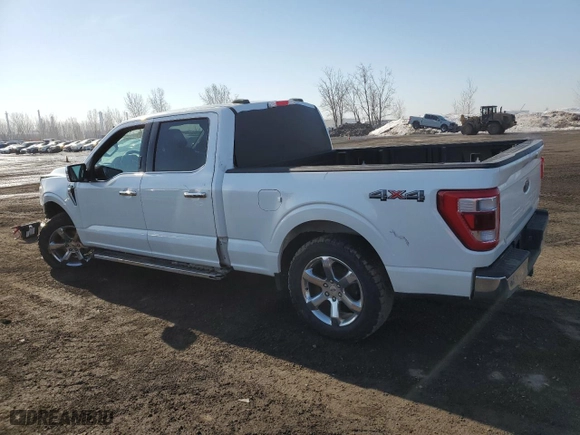 2021 Ford F-150 XL with VIN 1FTFW1E53MKD36674, listed as a Copart auction lot 49352775 with 0 mi miles and Salvage Title. Bid and sale history available at carsss.com. Image 2.