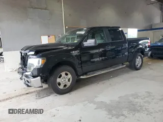 2009 Ford F-150 XL with VIN 1FTRW12849FA44611, listed as a Copart auction lot 60992925 with 183,732 mi miles and Salvage title. Bid and sale history available at DreamBid. Image 1.