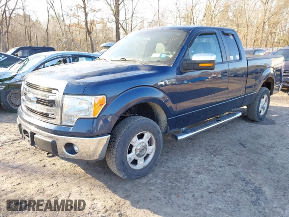 2013 Ford F-150 XL with VIN 1FTEX1EM4DFD51564, listed as a IAAI auction lot 41778412 with 192 mi miles. Bid and sale history available at carsss.com. Image 17.