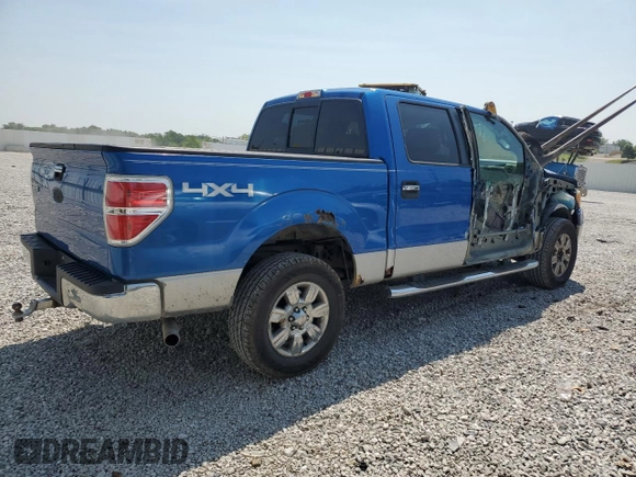 2009 Ford F-150 XL z VIN 1FTPW14V39FA64116, wystawiony jako Copart lot #59893095 z przebiegiem 215 382 mil mil oraz Szkoda całkowita • Salvage title. Historia ofert i sprzedaży dostępna na DreamBid. Obrazek 3.