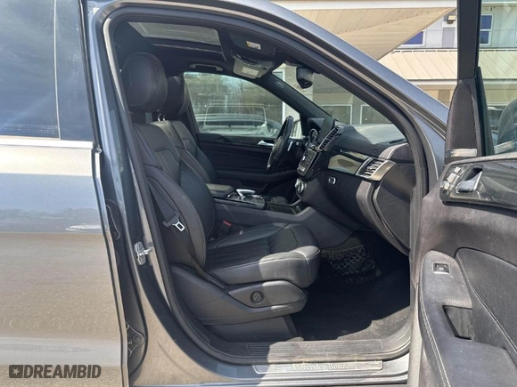2017 Mercedes-Benz GLS with VIN 4JGDF6EE2HA841889, listed as a IAAI auction lot 42018420 with 168,629 mi miles. Bid and sale history available at carsss.com. Image 5.
