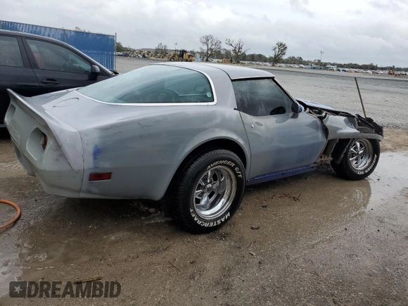 1979 Chevrolet Corvette with VIN 1Z8789S417643, listed as a Copart auction lot 79934384 with 48,973 mi miles and Salvage title. Bid and sale history available at DreamBid. Image 3.