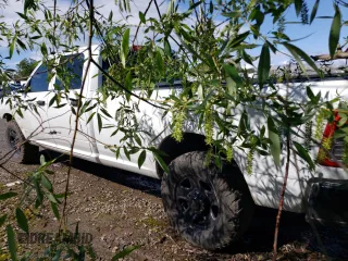 2021 Ram 3500 Tradesman with VIN 3C63R3GL2MG549275, listed as a Copart auction lot 52675934 with 0 mi miles and Salvage Title. Bid and sale history available at carsss.com. Image 2.