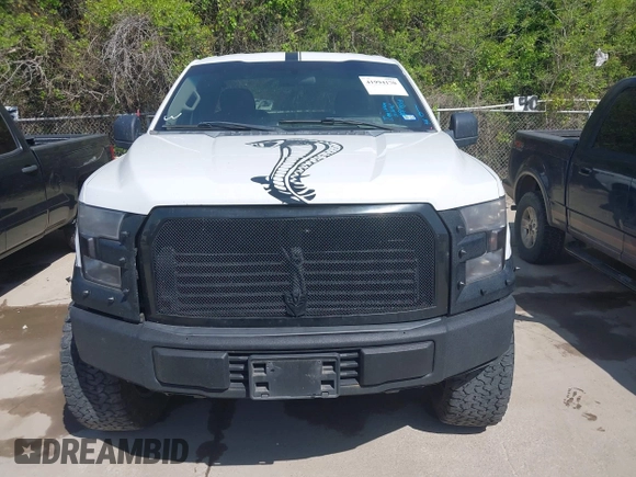 2017 Ford F-150 XL with VIN 1FTMF1C84HKC49246, listed as a IAAI auction lot 41994170 with 272,374 mi miles. Bid and sale history available at carsss.com. Image 12.