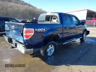 2009 Ford F-150 XL z VIN 1FTPW14V89FA15008, wystawiony jako IAAI lot #41785304 z przebiegiem 146 117 mil mil oraz . Historia ofert i sprzedaży dostępna na DreamBid. Obrazek 4.