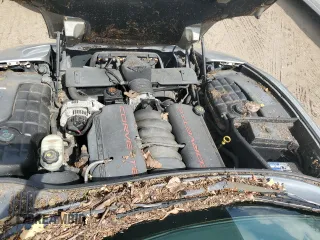 1999 Chevrolet Corvette with VIN 1G1YY32G2X5116183, listed as a Copart auction lot 73824884 with 0 mi miles and Salvage Title. Bid and sale history available at carsss.com. Image 11.
