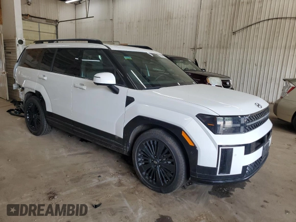 2024 Hyundai Santa Fe Calligraphy with VIN 5NMP5DG16RH009952, listed as a Copart auction lot 59581715 with 8,789 mi miles and Salvage title. Bid and sale history available at DreamBid. Image 4.