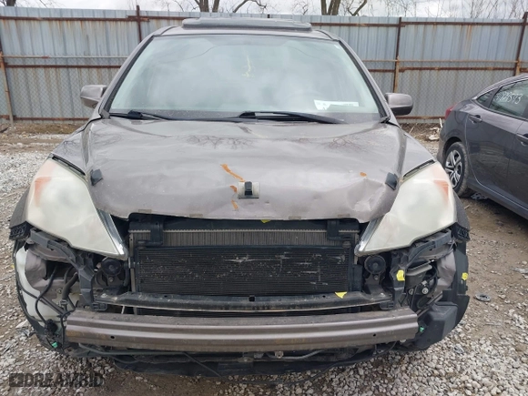 2009 Honda CR-V EX-L with VIN 5J6RE48749L013714, listed as a IAAI auction lot 41842790 with 167,463 mi miles. Bid and sale history available at carsss.com. Image 6.
