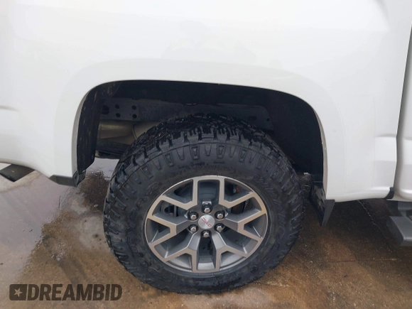 2021 GMC Canyon 4WD AT4 w/Leather with VIN 1GTG6FEN6M1154040, listed as a IAAI auction lot 41209527 with 29,484 mi miles. Bid and sale history available at carsss.com. Image 18.