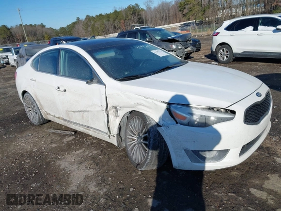 2014 Kia Cadenza Premium with VIN KNALN4D73E5139043, listed as a IAAI auction lot 41395272 with 142,255 mi miles. Bid and sale history available at carsss.com. Image 1.