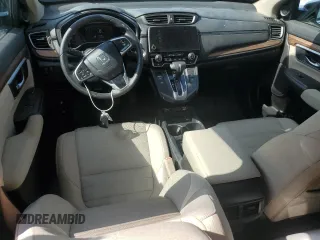 2020 Honda CR-V EX with VIN 7FARW1H59LE004988, listed as a Copart auction lot 59726565 with 38,136 mi miles and Salvage title. Bid and sale history available at DreamBid. Image 8.