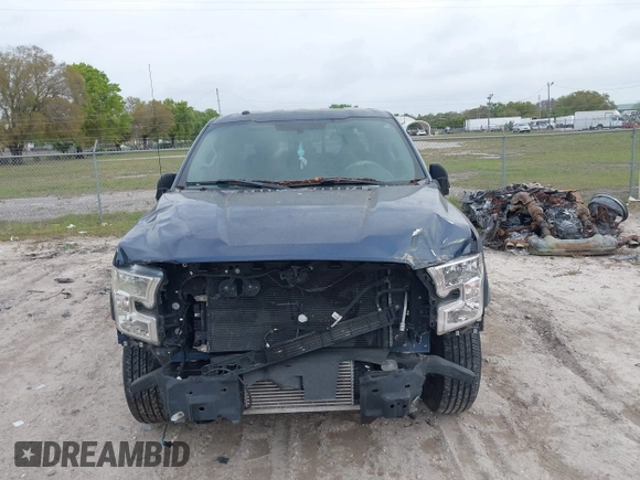 2016 Ford F-150 XL with VIN 1FTEW1CP3GKE81556, listed as a IAAI auction lot 41729080 with 145,506 mi miles and . Bid and sale history available at carsss.com. Image 6.