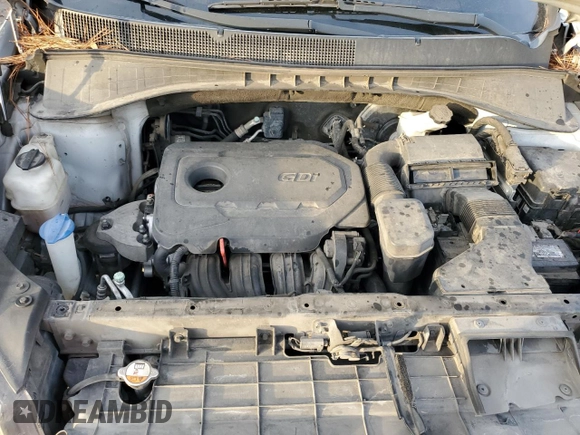 2016 Kia Sorento L with VIN 5XYPG4A30GG014611, listed as a Copart auction lot 41876985 with Not Provided miles and Salvage Title. Bid and sale history available at DreamBid. Image 13.