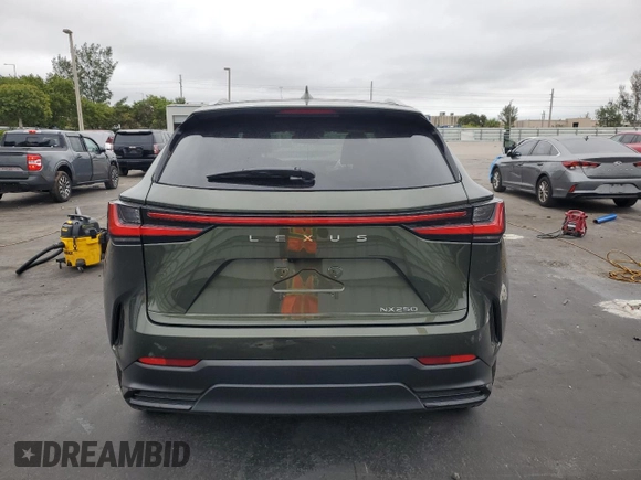 2025 Lexus NX 250 with VIN 2T2ADCAZ8SC021948, listed as a Copart auction lot 42130975 with 1,920 mi miles and Salvage title. Bid and sale history available at DreamBid. Image 6.