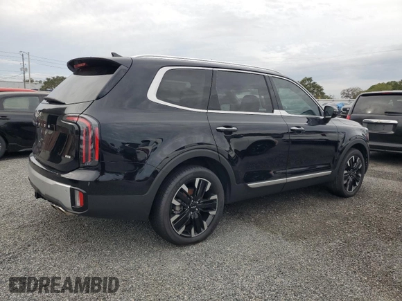 2024 Kia Telluride SX X-Line with VIN 5XYP5DGC6RG469978, listed as a Copart auction lot 81030984 with Not Provided miles and Salvage Title. Bid and sale history available at carsss.com. Image 3.