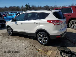 2013 Ford Escape SEL with VIN 1FMCU9HX4DUB80603, listed as a Copart auction lot 45412395 with 222,870 mi miles and Salvage Title. Bid and sale history available at carsss.com. Image 2.