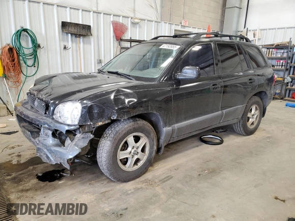 2003 Hyundai Santa Fe GLS with VIN KM8SC13D83U566100, listed as a Copart auction lot 47193955 with 166,060 mi miles and Non Repairable. Bid and sale history available at carsss.com. Image 1.