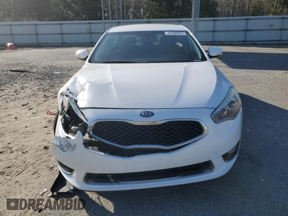2014 Kia Cadenza Premium with VIN KNALN4D74E5138578, listed as a Copart auction lot 47606025 with 141,668 mi miles and Salvage Title. Bid and sale history available at DreamBid. Image 5.