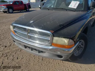 2000 Dodge Dakota Sport with VIN 1B7GL2AN2YS776819, listed as a IAAI auction lot 42066658 with 250,880 mi miles. Bid and sale history available at carsss.com. Image 6.
