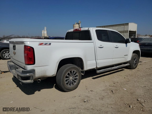 2017 Chevrolet Colorado 2WD Z71 with VIN 1GCGSDEN9H1300095, listed as a Copart auction lot 48717865 with 181,471 mi miles and Salvage Title. Bid and sale history available at carsss.com. Image 3.