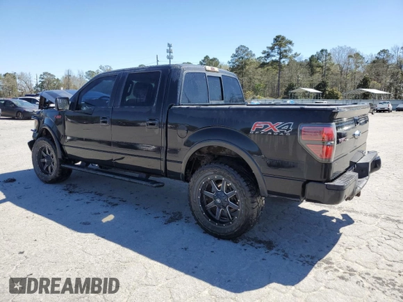 2013 Ford F-150 XL with VIN 1FTFW1ETXDFC09265, listed as a Copart auction lot 48344915 with 163,261 mi miles and Salvage Title. Bid and sale history available at DreamBid. Image 2.