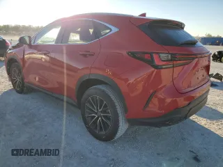 2023 Lexus NX with VIN 2T2GDCAZ3PC005206, listed as a Copart auction lot 82875594 with 9,455 mi miles and Salvage Title. Bid and sale history available at carsss.com. Image 2.