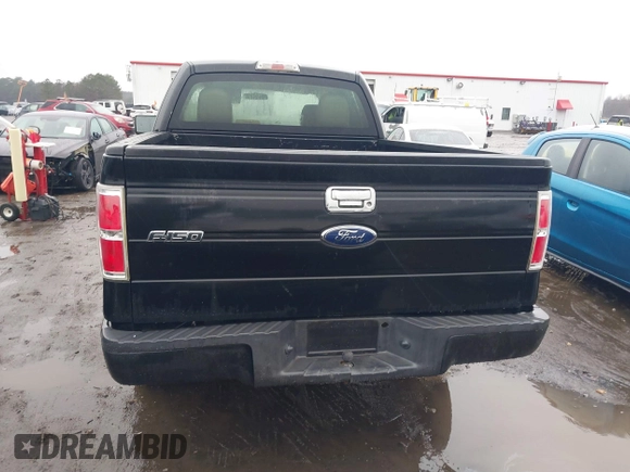 2010 Ford F-150 XL with VIN 1FTEX1C88AFC94335, listed as a IAAI auction lot 41563952 with 198,961 mi miles. Bid and sale history available at carsss.com. Image 16.