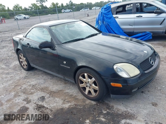 1999 Mercedes-Benz SLK 230/320 with VIN WDBKK47F0XF086064, listed as a IAAI auction lot 42223522 with 166,381 mi miles and . Bid and sale history available at DreamBid. Image 1.